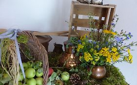 Hotel Zur Alten Oder- Frankfurt-Oder